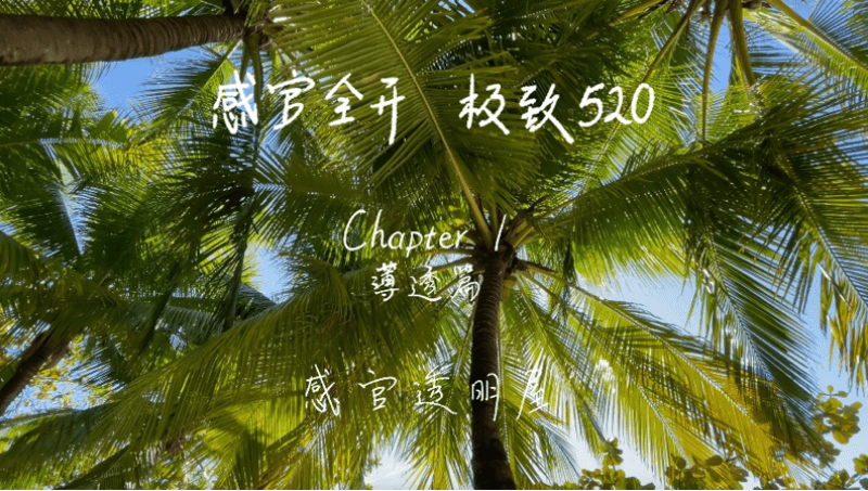 感官全开，极致520