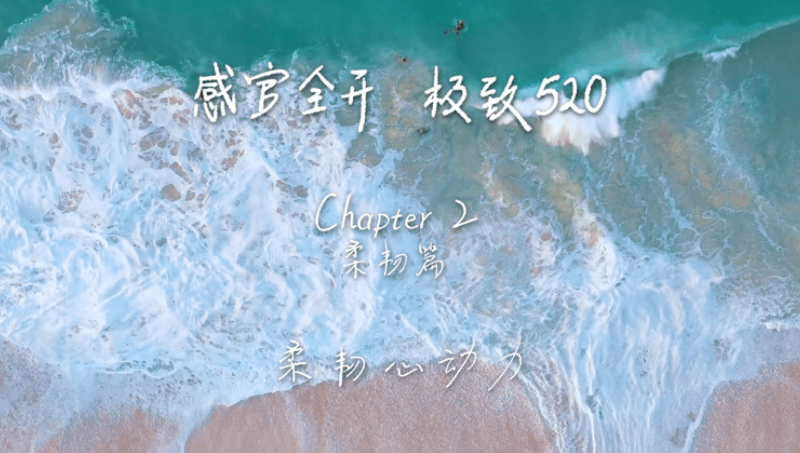 感官全开，极致520